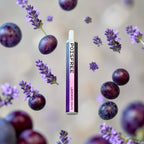 LAVENDER GRAPE